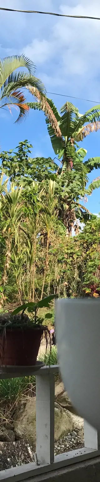 In Turrialba Kaffee geniessen - hier, wo er angebaut wird